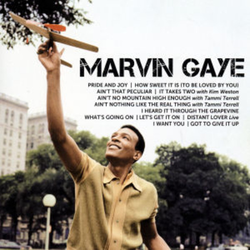 Marvin Gaye – Icon