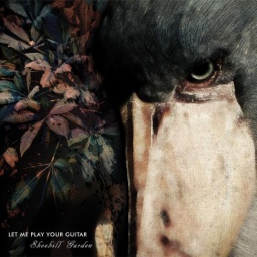 Let Me Play Your Guitar – Shoebill Garden