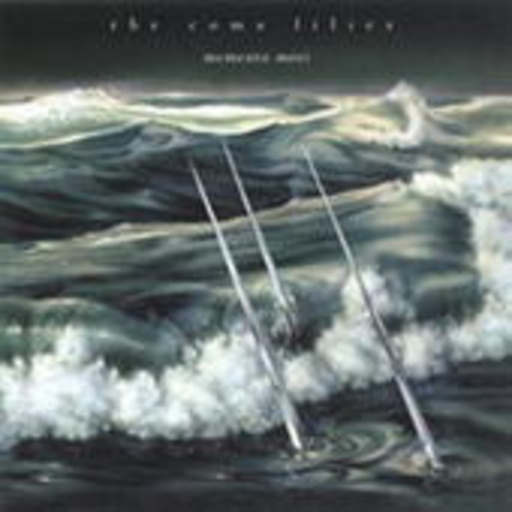 The Coma Lilies – Memento Mori
