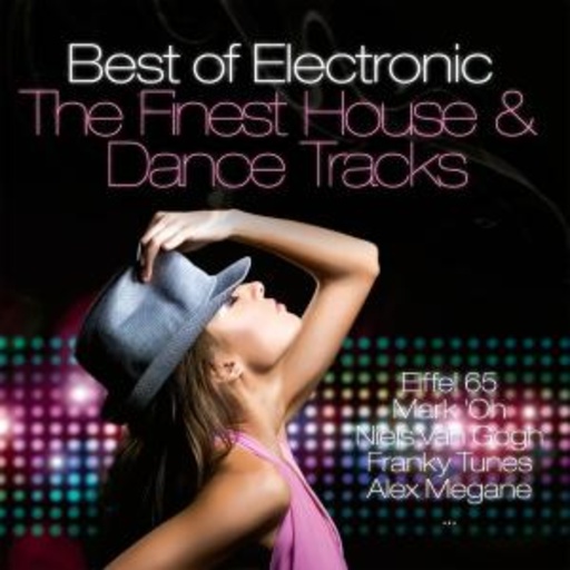 Diverse – Best Of Electronic - The Finest House & Dance Tracks