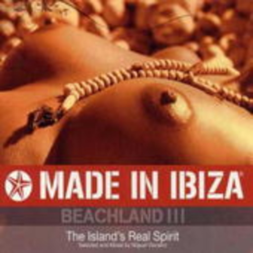 Diverse – Beachland III - 2006