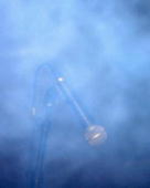 Faust – Schiphorst 2008