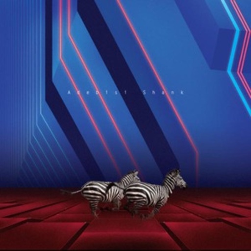 Adebisi Shank – This Is The Second Album Of A Band Called Adebisi Shank