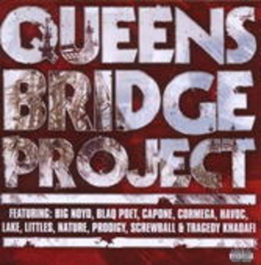 Diverse – Queensbridge Project