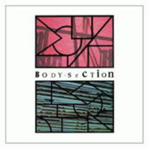 Diverse – Body Section
