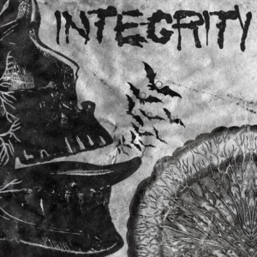 Integrity – Suicide Black Snake