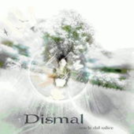 Dismal – Miele Dal Salice