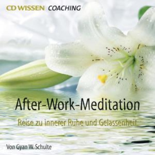 Gyan W. Schulte – After-Work-Meditation