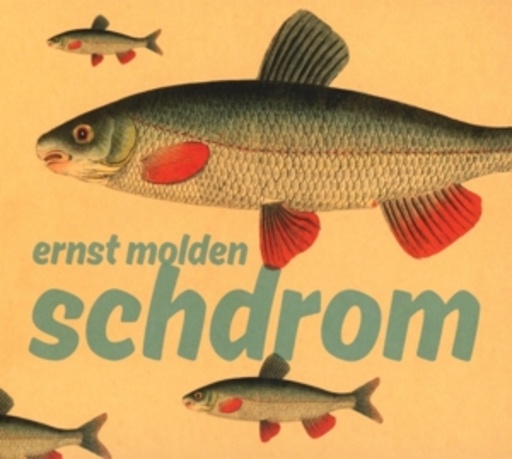 Ernst Molden – Schdrom