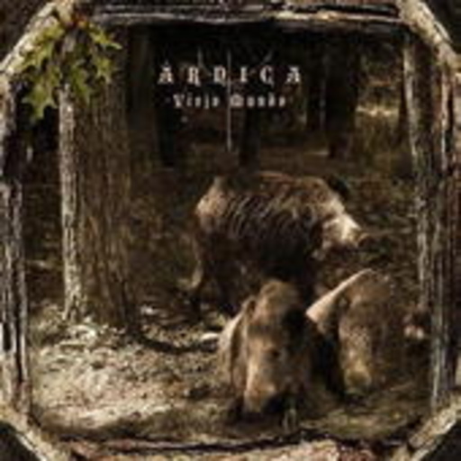 Àrnica – Viejo Mundo