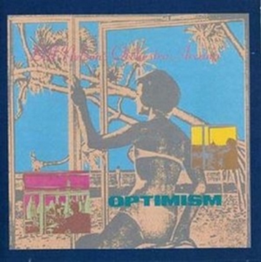Bill Nelson's Orchestra Arcana – Optimism