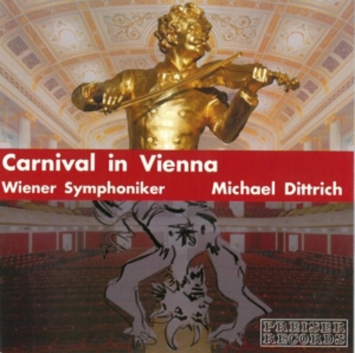 Carnival In Vienna