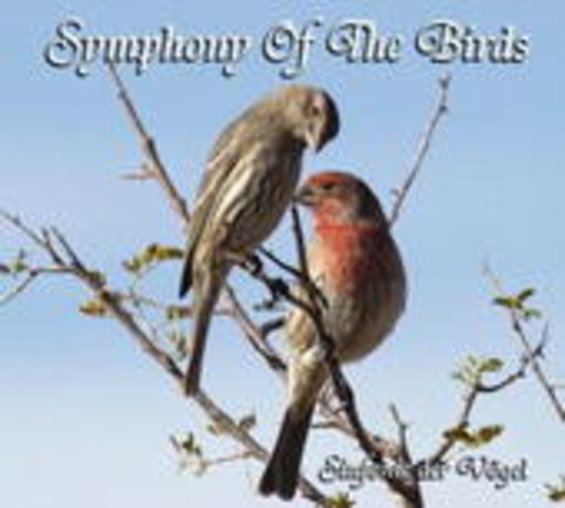 Diverse – Symphony Of The Birds