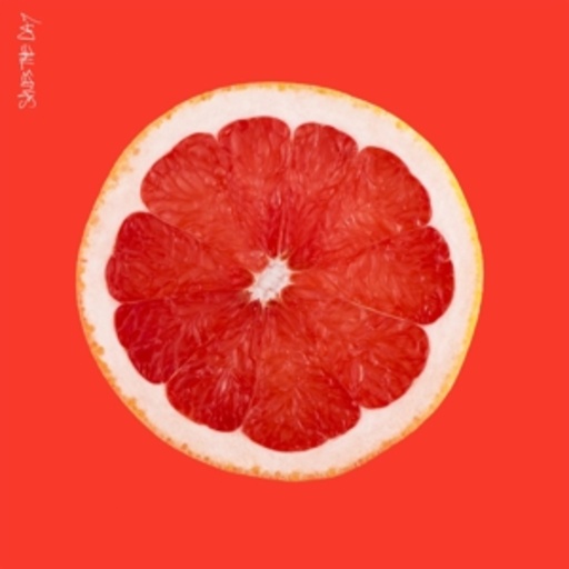 Saves The Day – Saves The Day