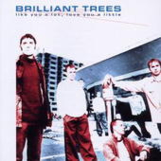 Brilliant Trees – Like You A Lot, Love You A Little