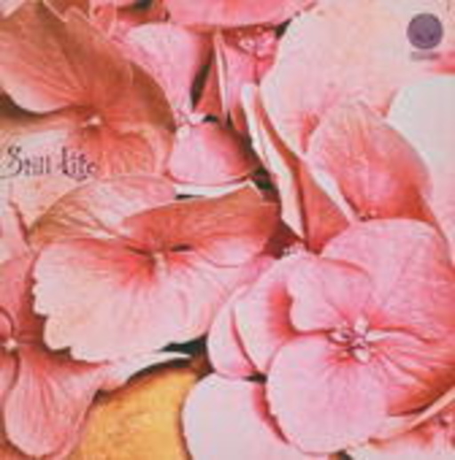 Still Life – Still Life