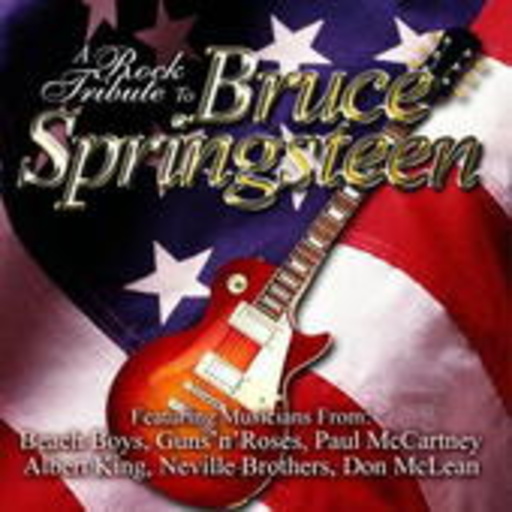 Diverse – A Rock Tribute To Bruce Springsteen