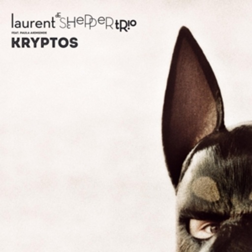 Laurent De Schepper Trio – Kryptos/The Crypt (Kammerflimmer Kollektief RMX)