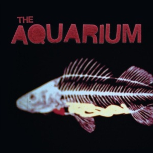 The Aquarium – The Aquarium