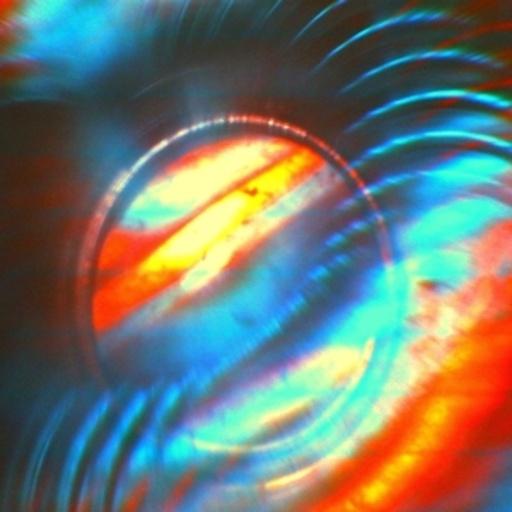 Solar Bears – Advancement
