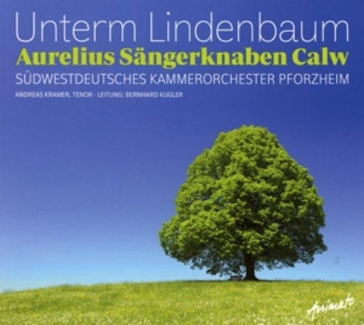 Aurelius Sängerknaben Calw – Unterm Lindenbaum