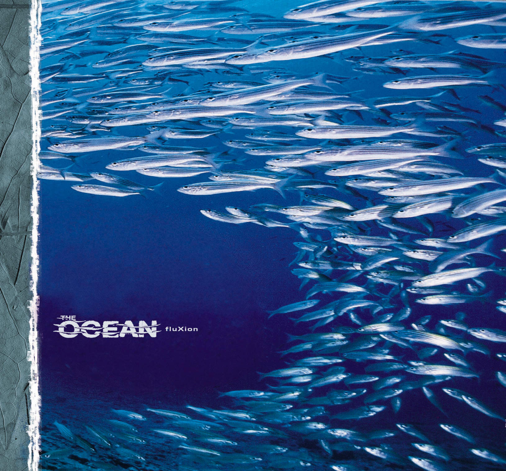 The Ocean – Fluxion