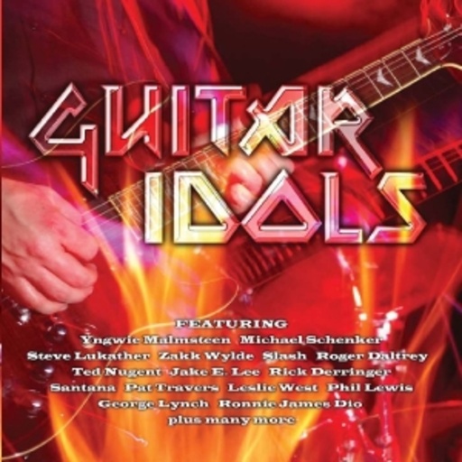 Diverse – Guitar Idols