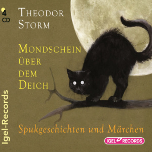 Diverse – Mondschein über dem Deich