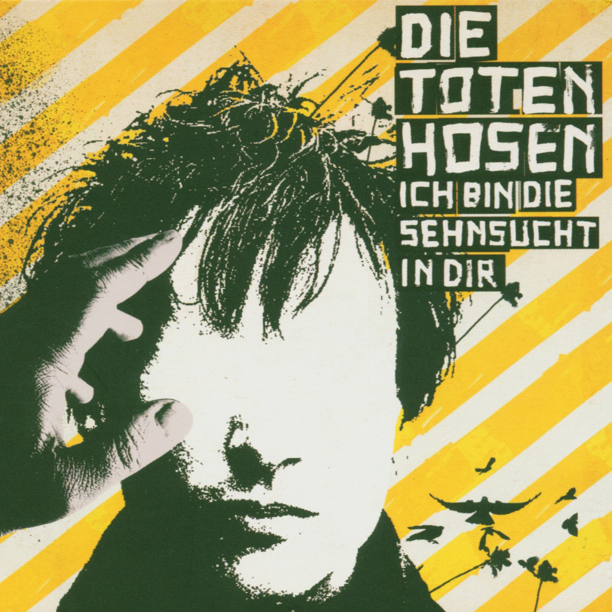 Die Toten Hosen – Ich bin die Sehnsucht in dir