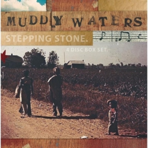 Diverse – Muddy Waters - Stepping Stone