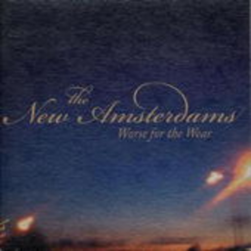 The New Amsterdams – Worse For The Wear