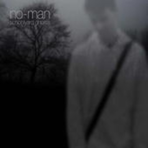 No-Man – Schoolyard Ghosts