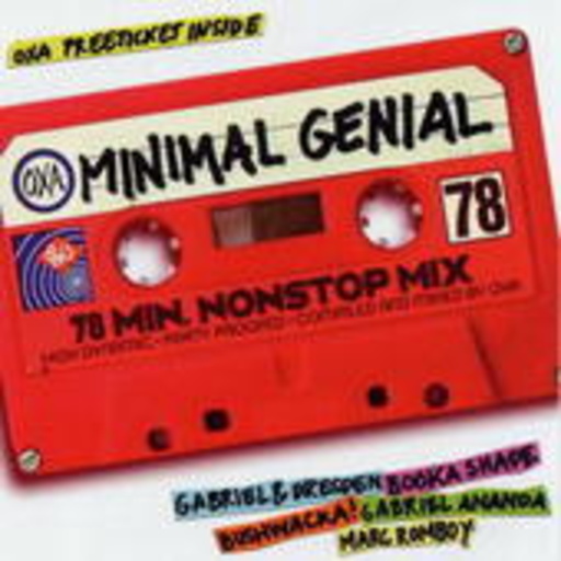 Diverse – Minimal Genial