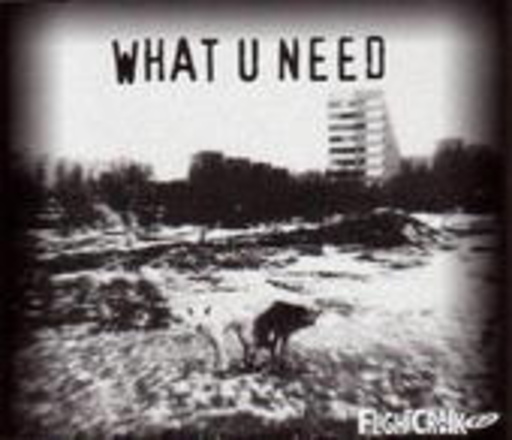 Flightcrank – What U Need