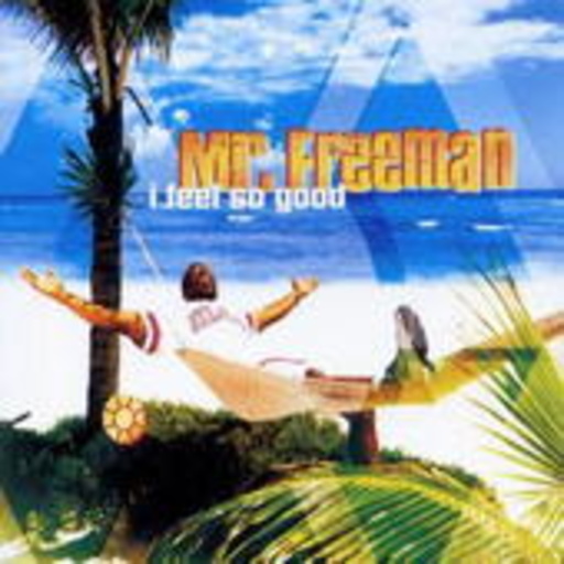 Mr. Freeman – I Feel So Good