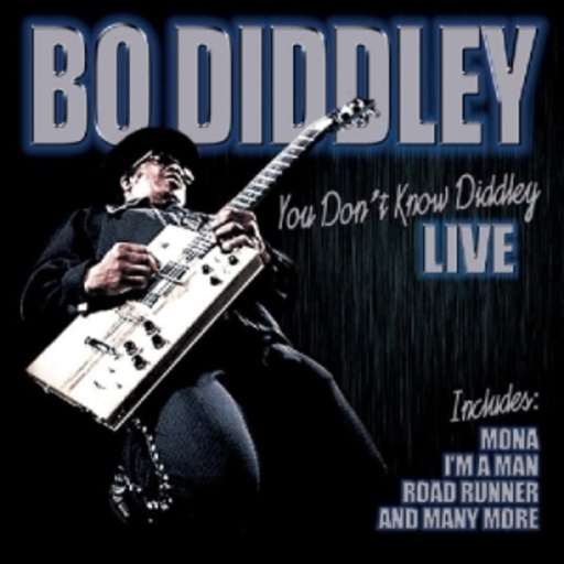 Bo Diddley – You Don't Know Diddley - Live