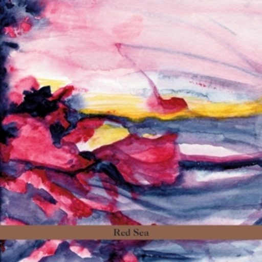 David Taylor – Red Sea