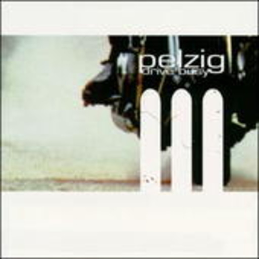 Pelzig – Drive Busy