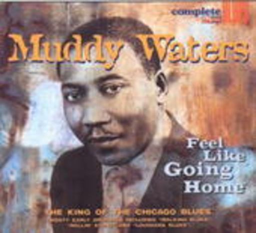 Muddy Waters – Feel Like Going Home