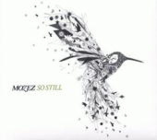 Mozez – So Still