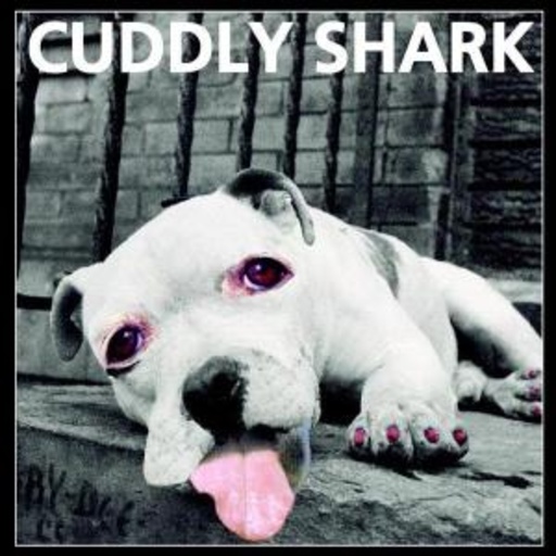 Cuddly Shark – Cuddly Shark