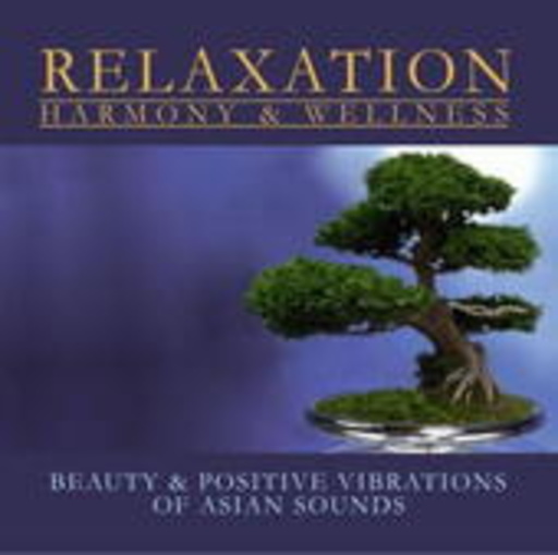 Diverse – Beauty & Positive Vibrations Of Asian Sounds