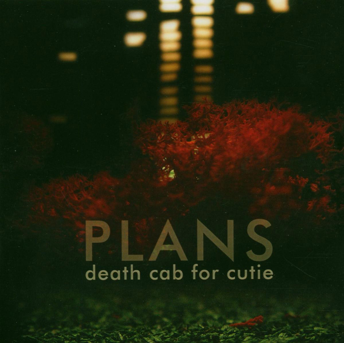 Death Cab For Cutie – Plans