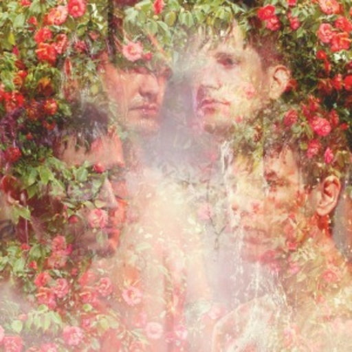 Strfkr – Miracle Mile