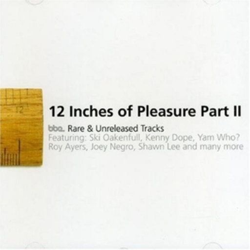 12 Inches Of Pleasure II