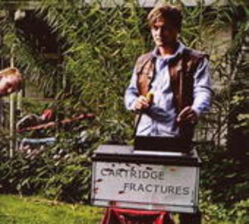 Cartridge – Fractures