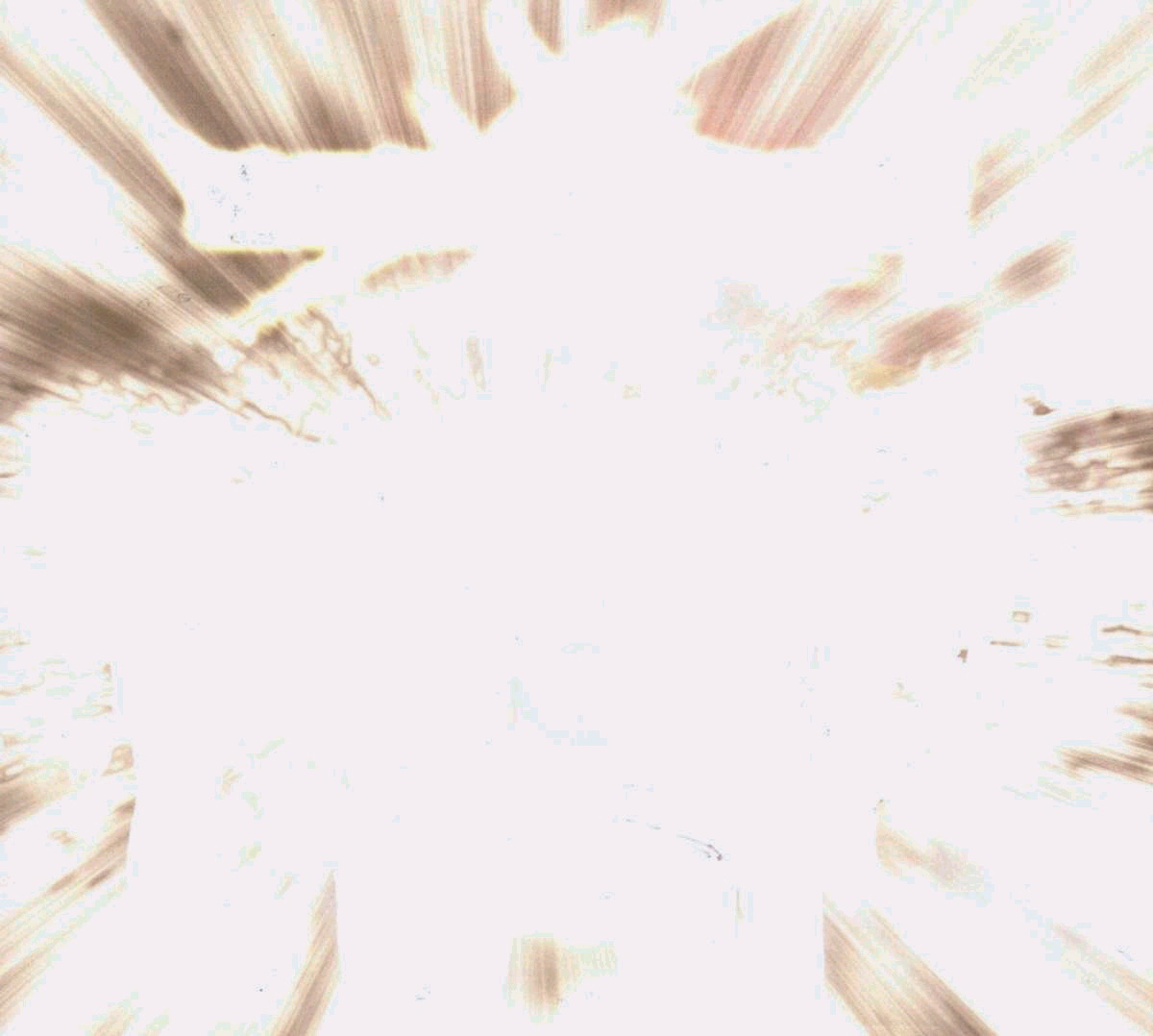 Licht