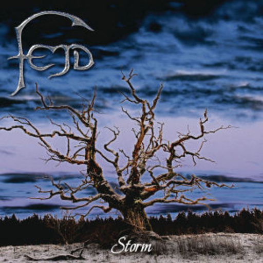 FEJD – Storm