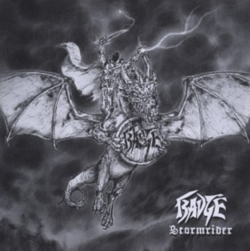 Badge – Stormrider