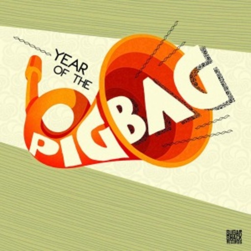 Year Of The Pigbag